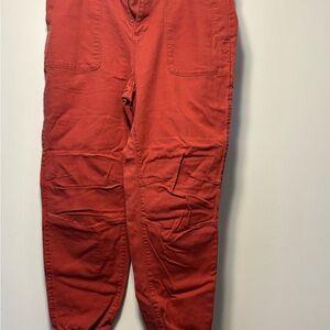 LOFT Pink Ankle Cropped Pants